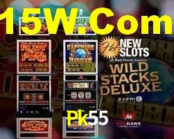 Pk55